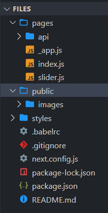 next js basic structure of files and folders